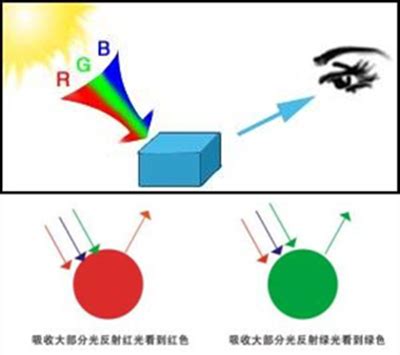 透光物品|为什么有的物体是可以透光的，而有的物体不可以透光？透光与否。